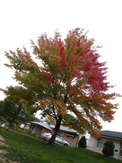 First Photo in Canada