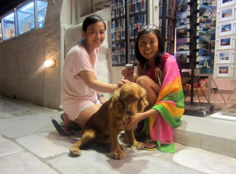 If cats were the darlings of Mykonos and Paros, dogs certainly ruled here.