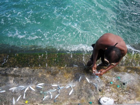 The water at the pier was so clean, you could swim and get a decent catch of fish in it.