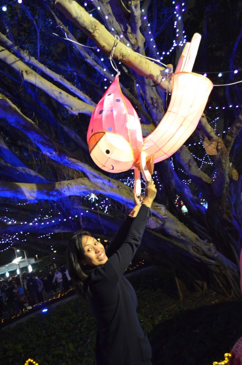 2013 Taipei Lantern Festival