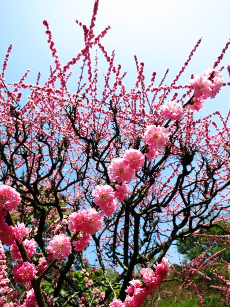 Because it's better late than never, especially for pretty pretty things.