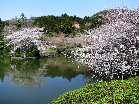 That settles it --- I'm to have this garden.