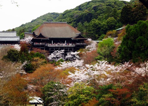 Best viewpoint, in my humble opinion, goes to the Kiyomizu-dera temple