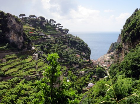 Reminds me of the Banaue Rice Terraces. Only with lemons. Lots of them.
