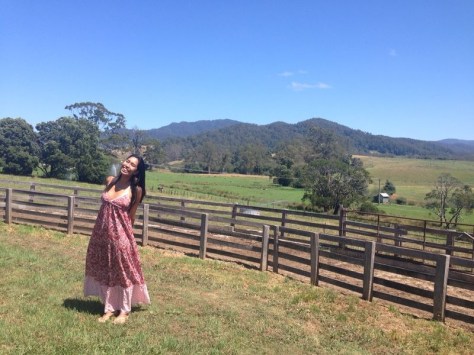 Holy Cow! at the dairy farm