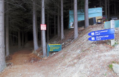 Jump-off for the Ben Lomond Trail