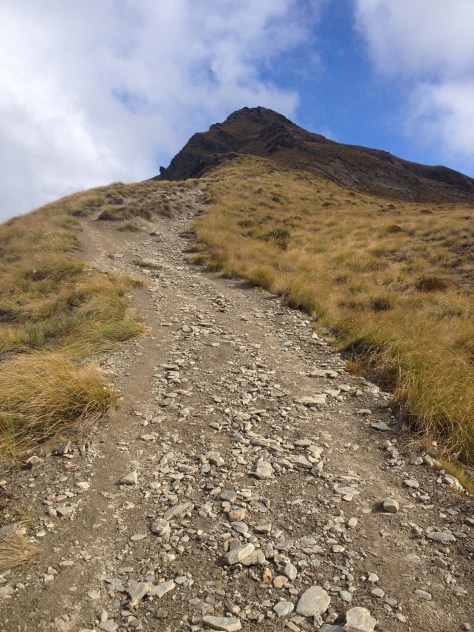 The trail up to the summit.