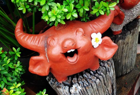 Happiest cow-pig I've ever seen