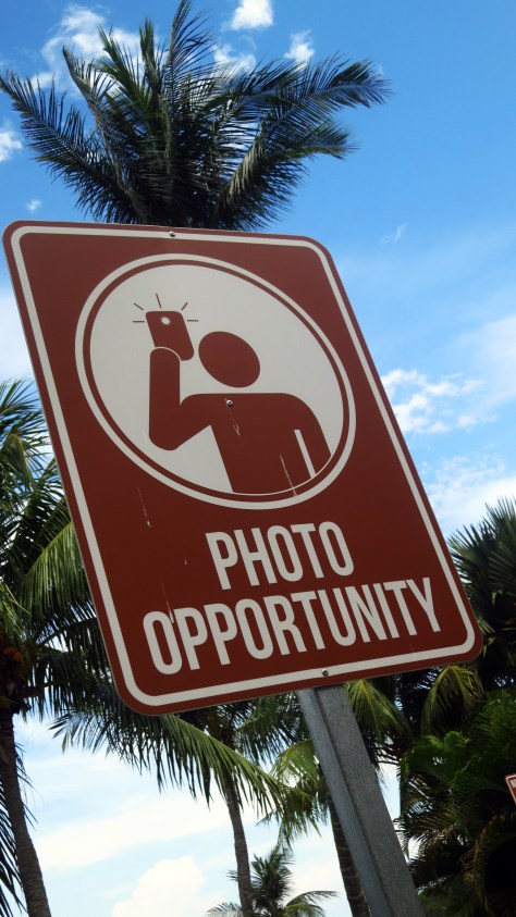 Searching for the perfect photo-op spot? Look no further.