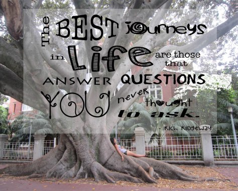 The best journeys in life are those that answer questions you never thought to ask. - Rich Ridgeway