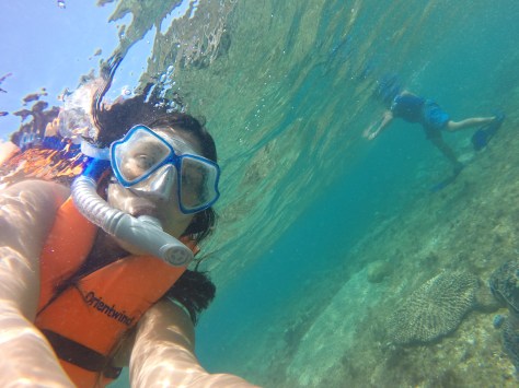 Pawikan Giant Turtle Apo Island