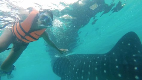 They weren't kidding about the close encounter.