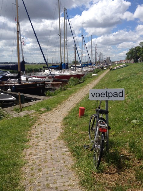 Yellow City Bike Tours - Countryside Tour