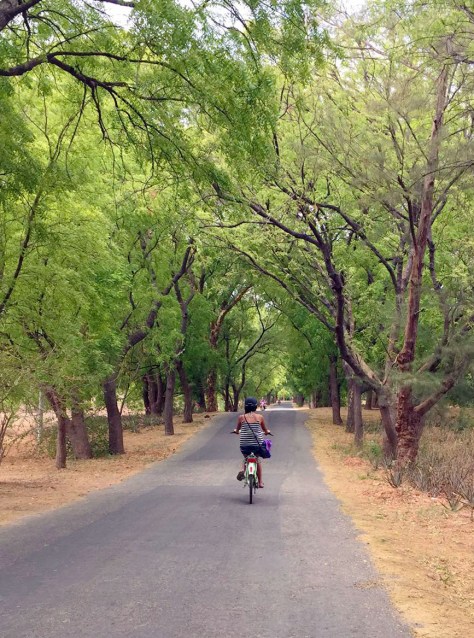 Me, safely on a bike
